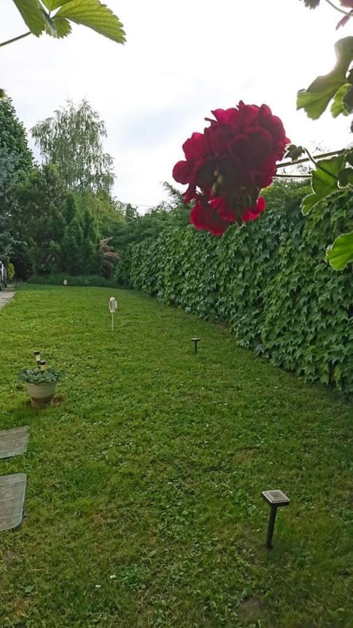 Balatonfůzfő Liliana Vendeghaz 아파트 외부 사진